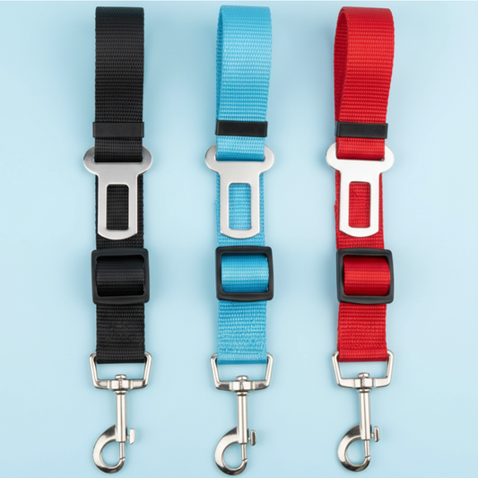 Kit Premium Petlover - Garrafa + Cinto de Segurança + Brinquedo Surpresa